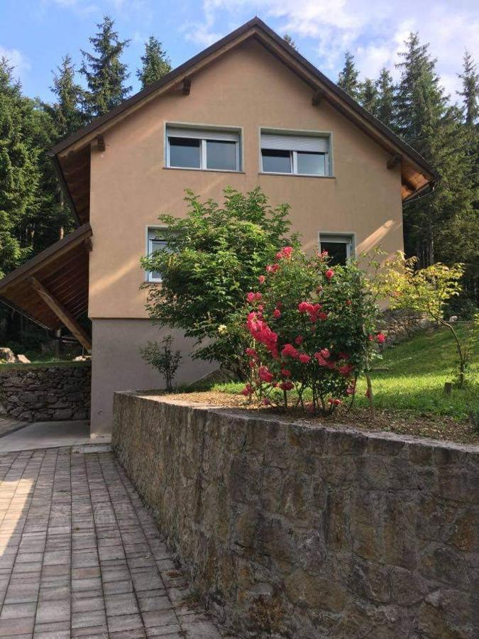 Apartmaji Velikonja Ajdovscina Ngoại thất bức ảnh